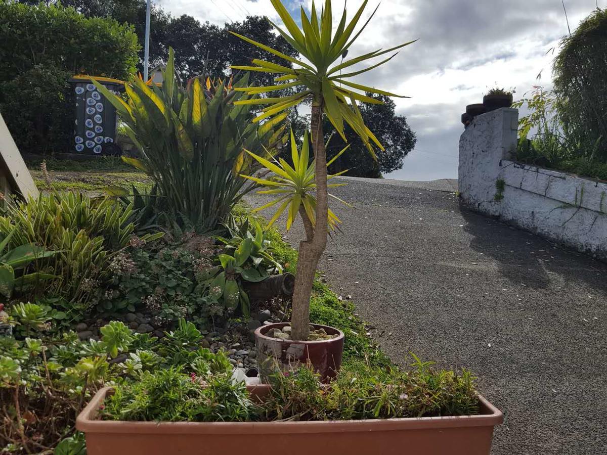 Harbour View Guesthouse Auckland Zewnętrze zdjęcie